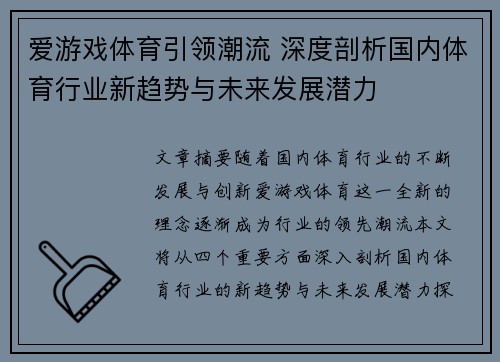 爱游戏体育引领潮流 深度剖析国内体育行业新趋势与未来发展潜力